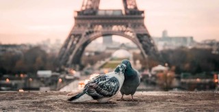 Spread Love & French culture